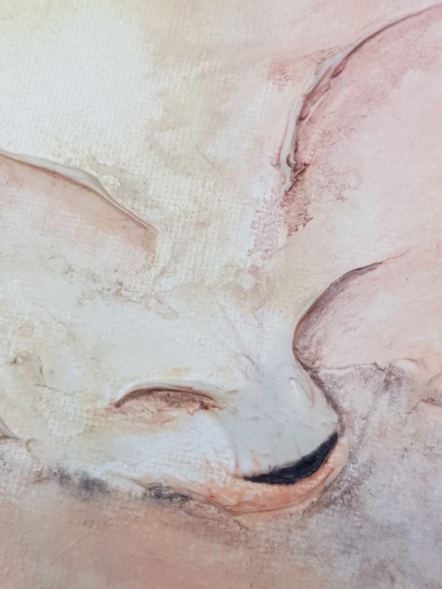 Closeup of the face of Softly Sleeping (cat) by Sunday L Artist
