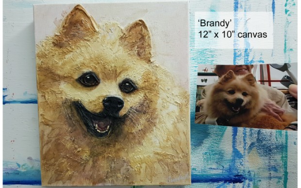 Pet Portrait 'Brandy' - German Spitz type - by SundayLArtist
